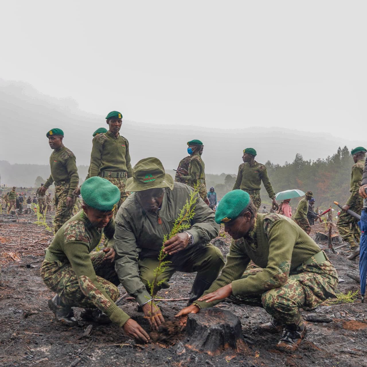 Roads Sector Rallies behind 15 billion Trees Target on Mazingira Day