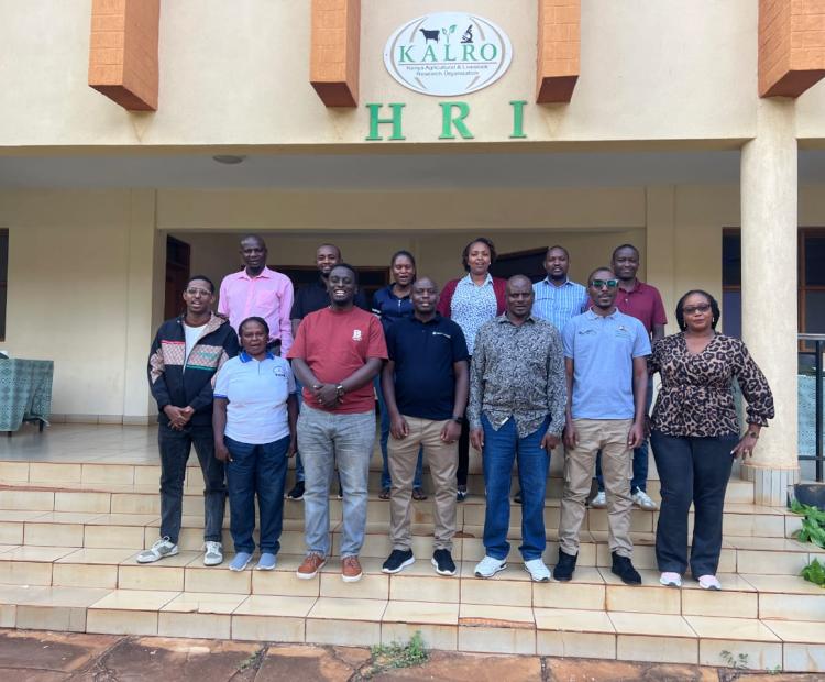 Roads Sub-Sector Accelerates Digital Shift to Boost Oversight and Delivery