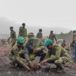 Roads Sector Rallies behind 15 billion Trees Target on Mazingira Day